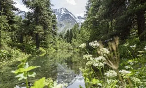 Cabanes et refuges de montagne depuis Arolla — Val d'Hérens