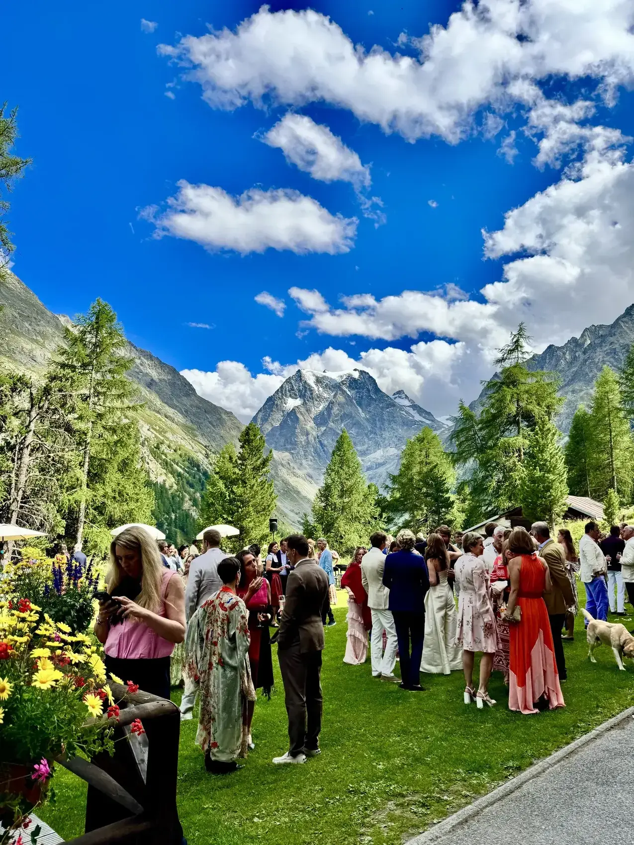 Wedding cocktail in the hotel garden, facing the mountains — Grand Hôtel & Kurhaus Arolla