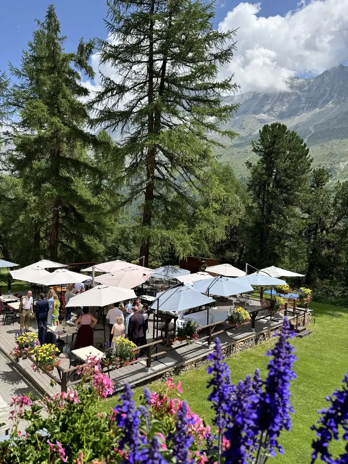La terrasse du Jardin des Arolles en été, sous les mélèzes — Grand Hôtel & Kurhaus Arolla